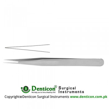 Jeweller Forceps Straight - With Plateau Stainless Steel, 12 cm - 4 3/4" Tip Size 0.3 mm